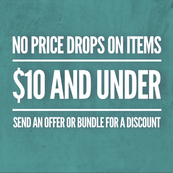 $5 SALE ⛄️ 3 faux succulents - Picture 4 of 5